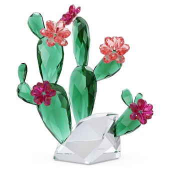 Cristal - Cactus com Flores